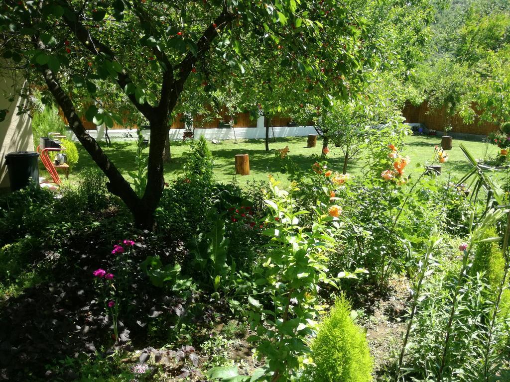 Riverside Guesthouse Pocitelj Bagian luar foto